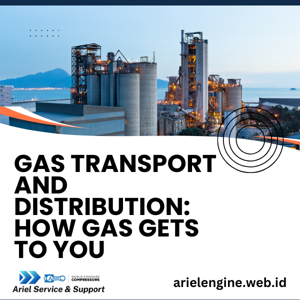 Gas Transport and Distribution